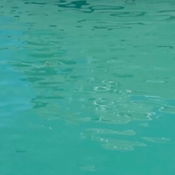 Meet your Posher, Jaqueline - Picture 1 of 1